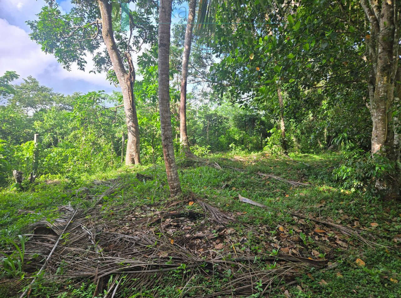 Seaview hilltop near Habaraduwa