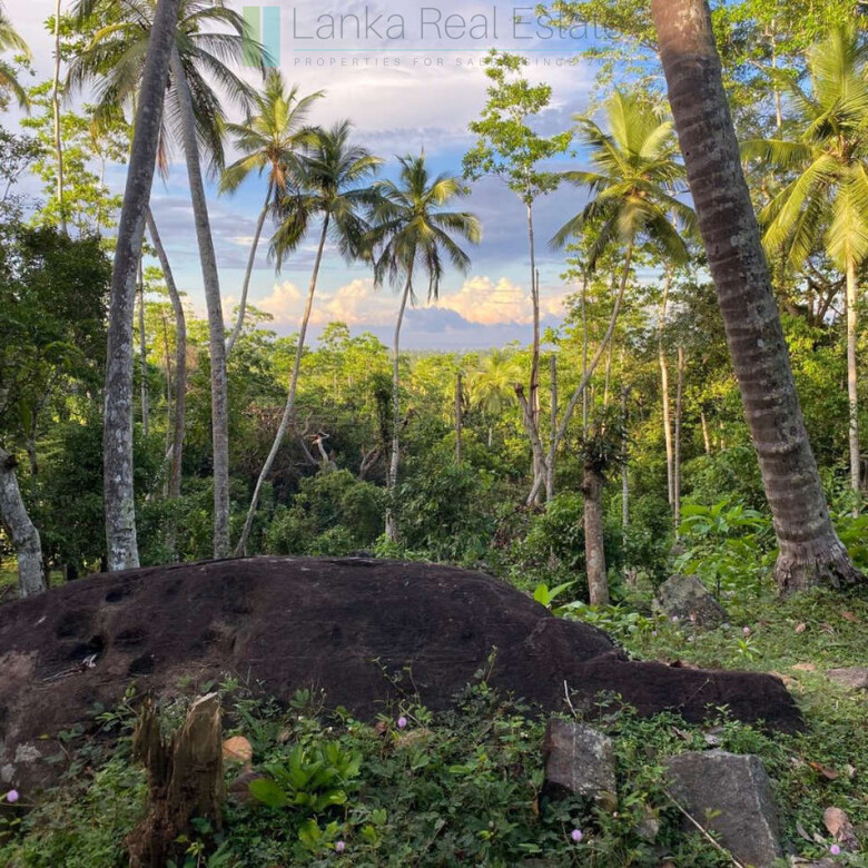 Seaview hilltop near Habaraduwa