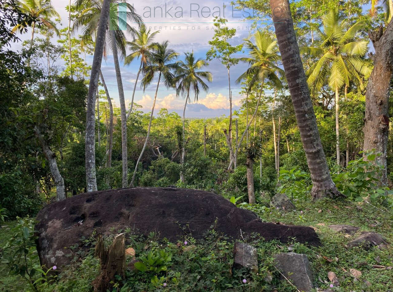Seaview hilltop near Habaraduwa