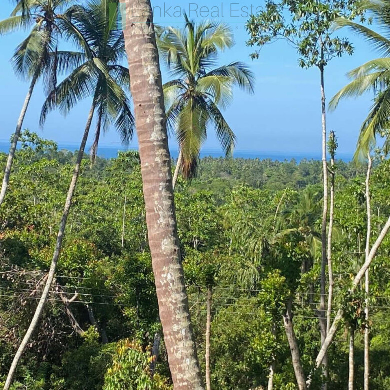 Seaview hilltop near Habaraduwa