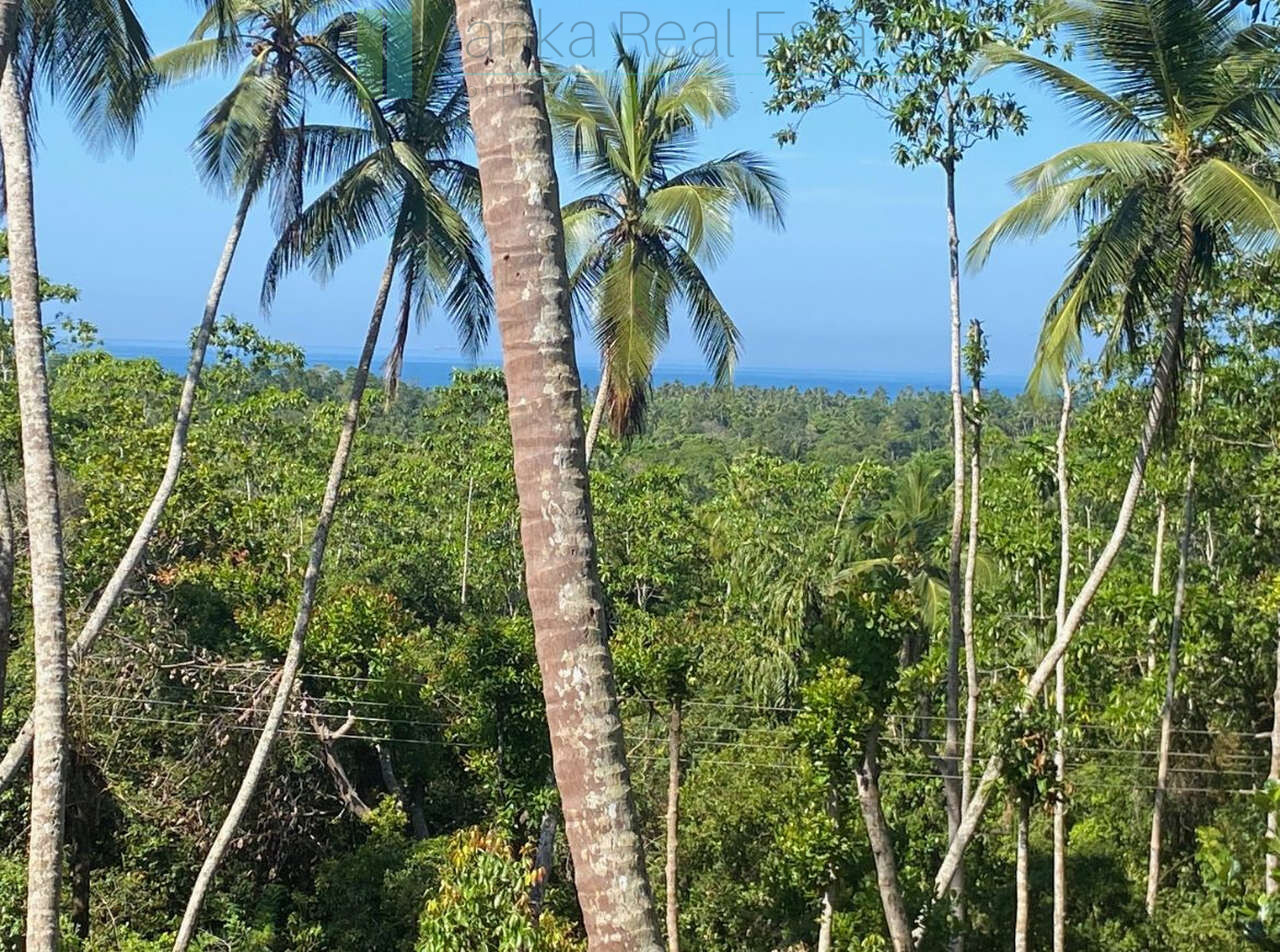 Seaview hilltop near Habaraduwa