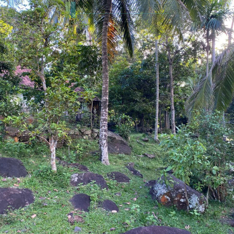Seaview hilltop near Habaraduwa