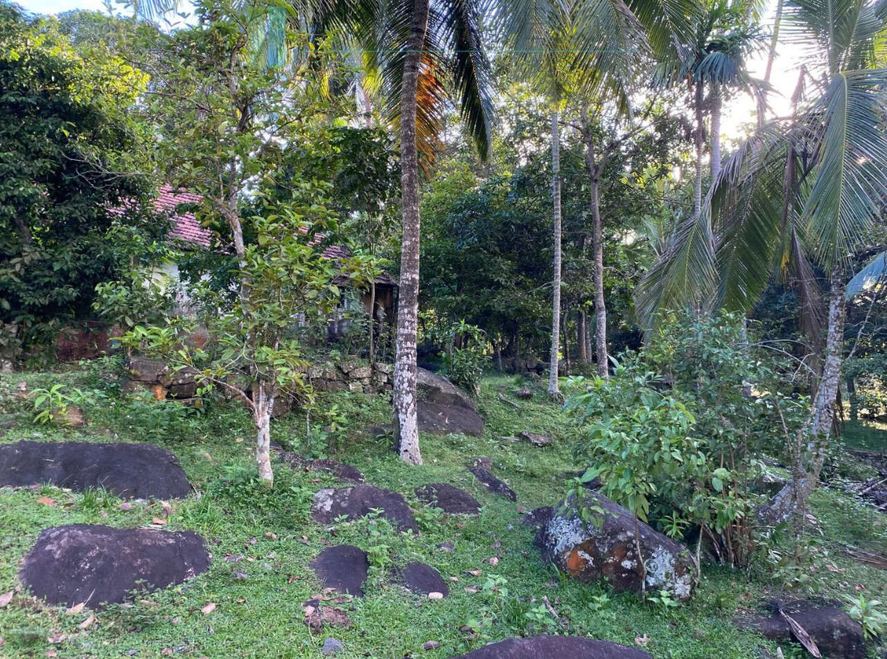 Seaview hilltop near Habaraduwa