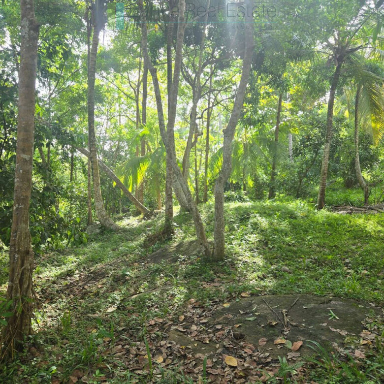 Seaview hilltop near Habaraduwa
