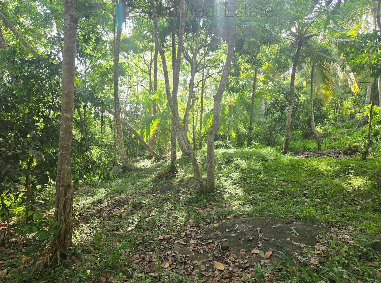 Seaview hilltop near Habaraduwa