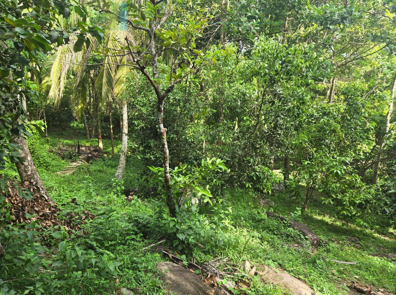 Seaview hilltop near Habaraduwa