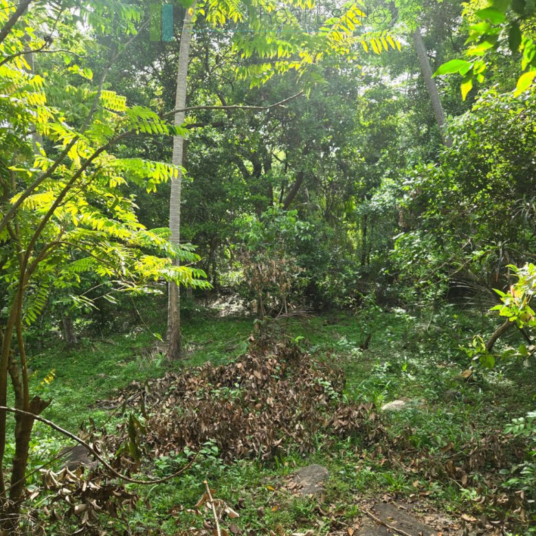 Seaview hilltop near Habaraduwa