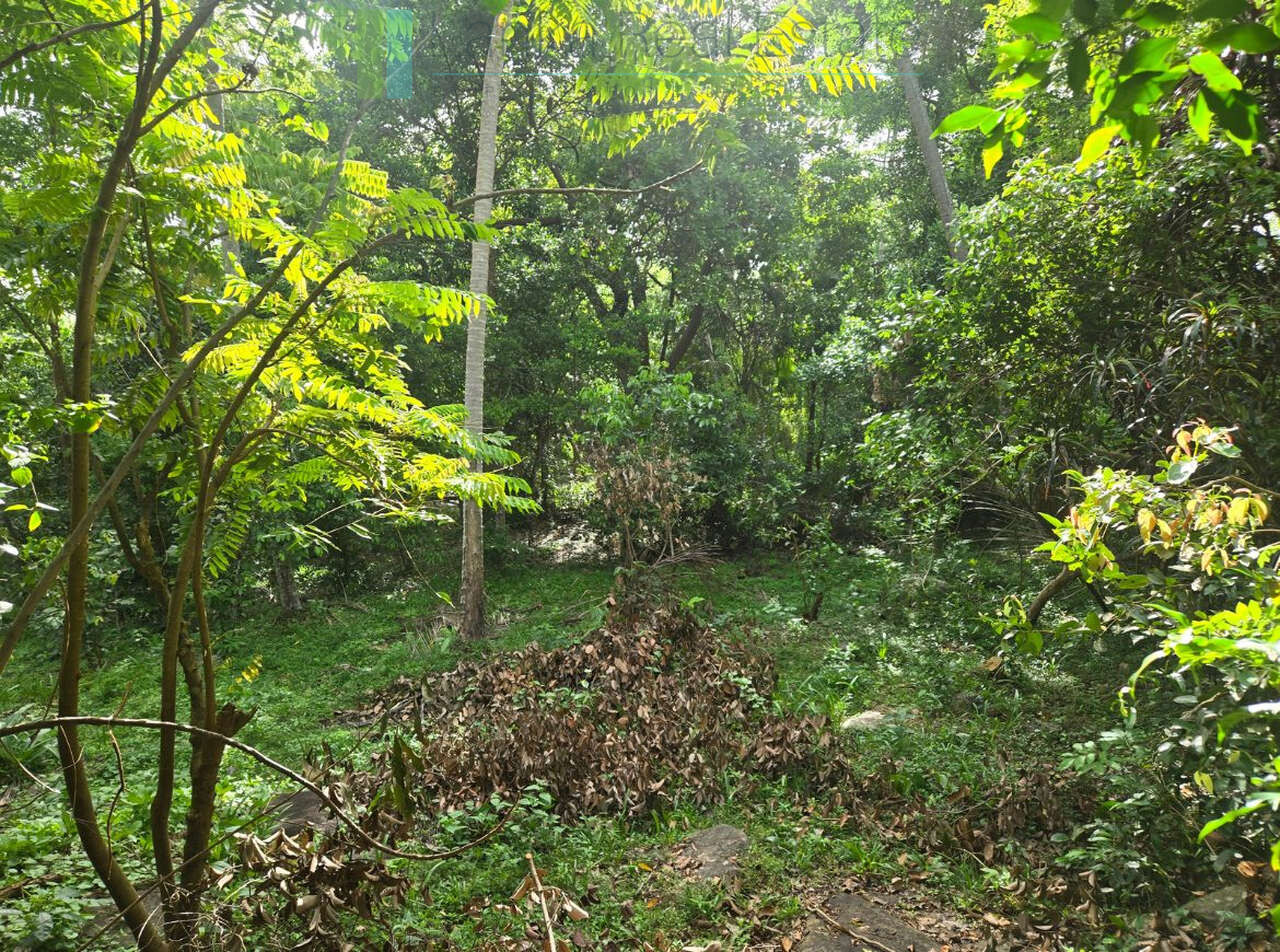 Seaview hilltop near Habaraduwa