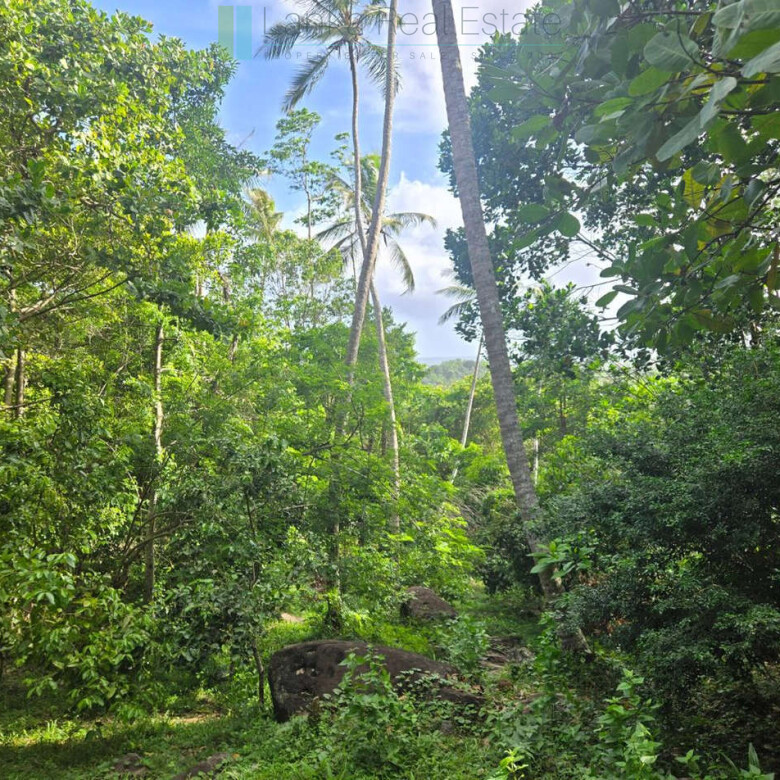 Seaview hilltop near Habaraduwa