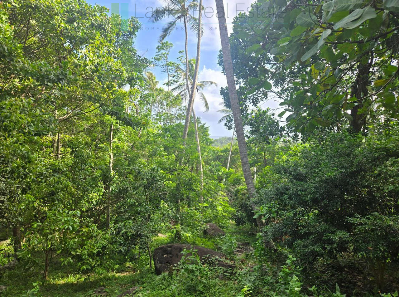 Seaview hilltop near Habaraduwa