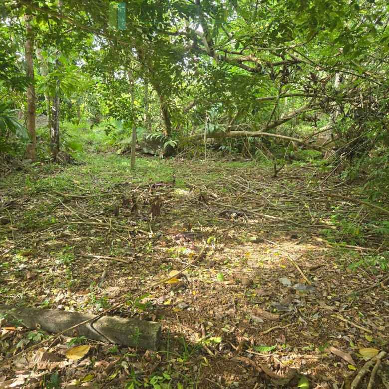 Seaview hilltop near Habaraduwa