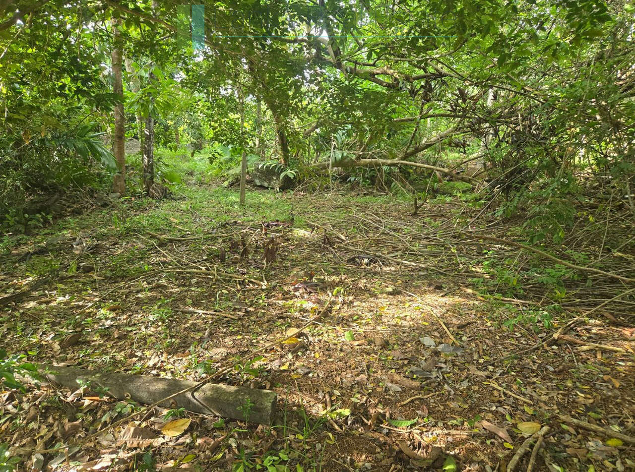 Seaview hilltop near Habaraduwa