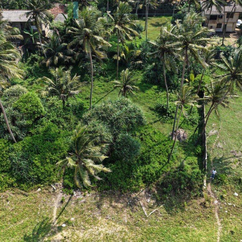 Enviable beachfront plot in Gintota