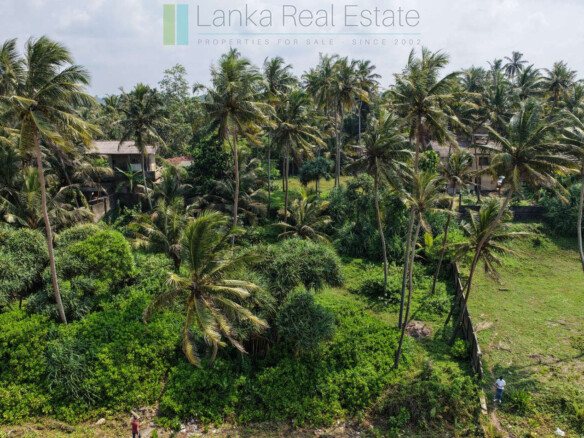 Enviable beachfront plot in Gintota