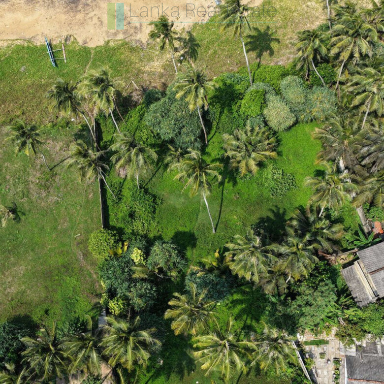 Enviable beachfront plot in Gintota