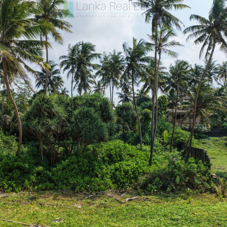 Enviable beachfront plot in Gintota