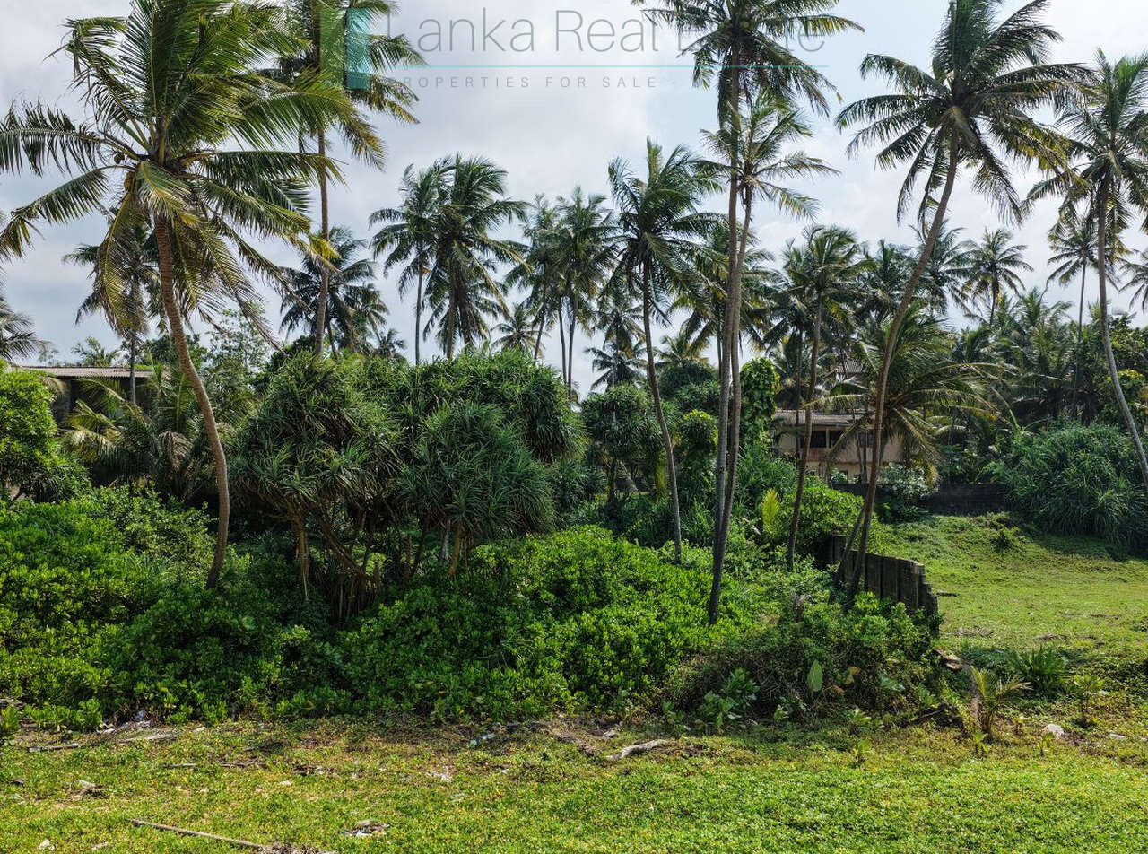 Enviable beachfront plot in Gintota