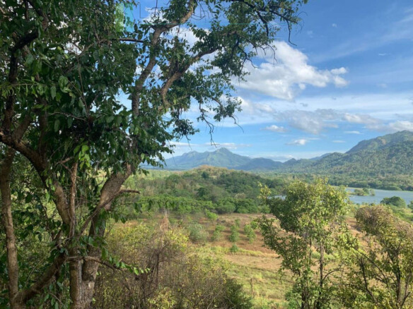 Fourteen pristine acres on Loggal Lake