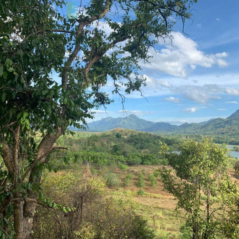 Fourteen pristine acres on Loggal Lake