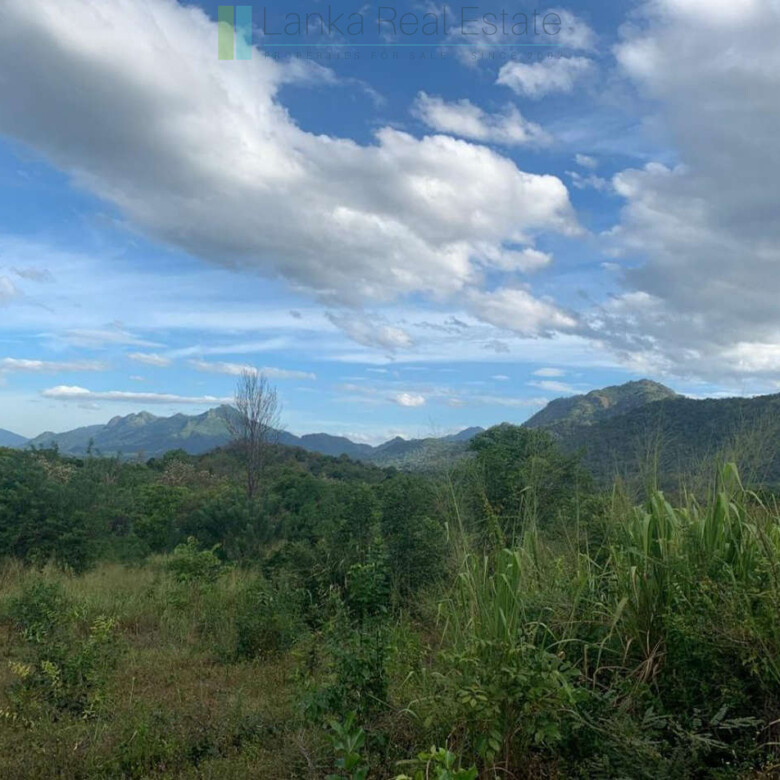 Fourteen pristine acres on Loggal Lake