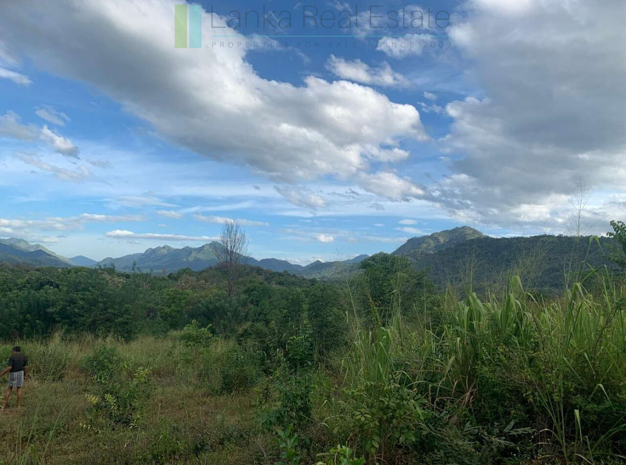 Fourteen pristine acres on Loggal Lake