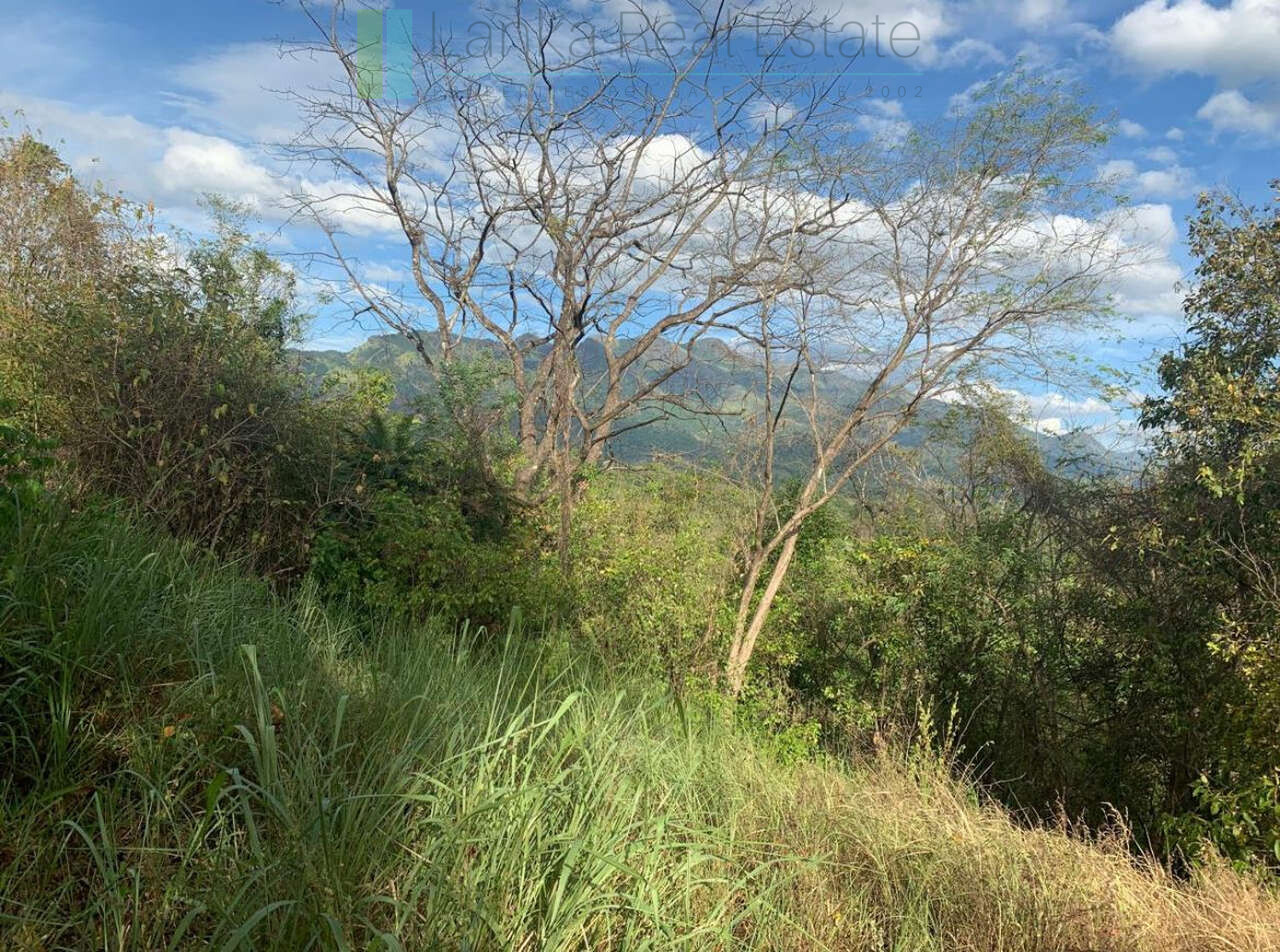 Fourteen pristine acres on Loggal Lake