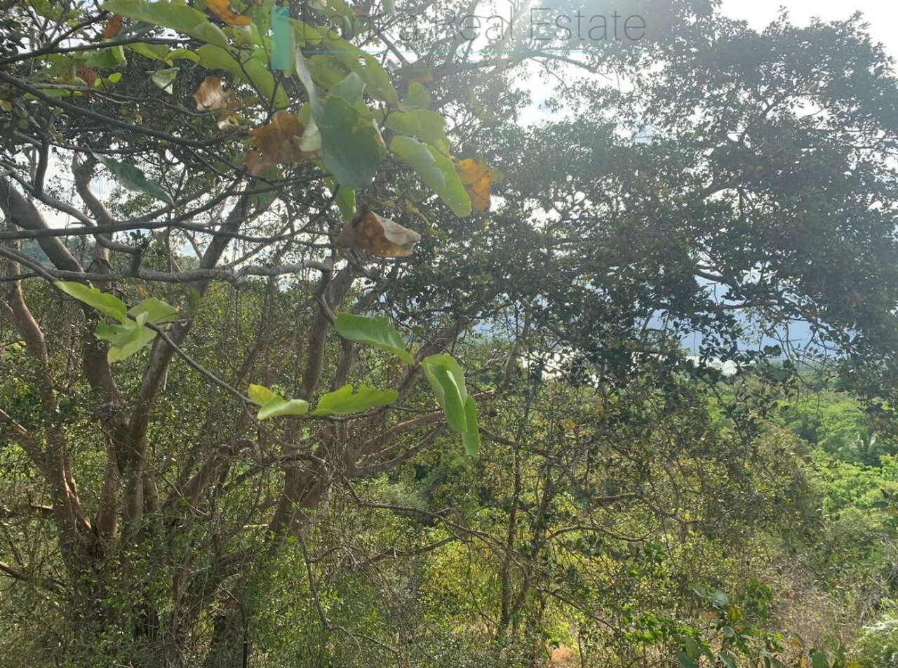 Fourteen pristine acres on Loggal Lake
