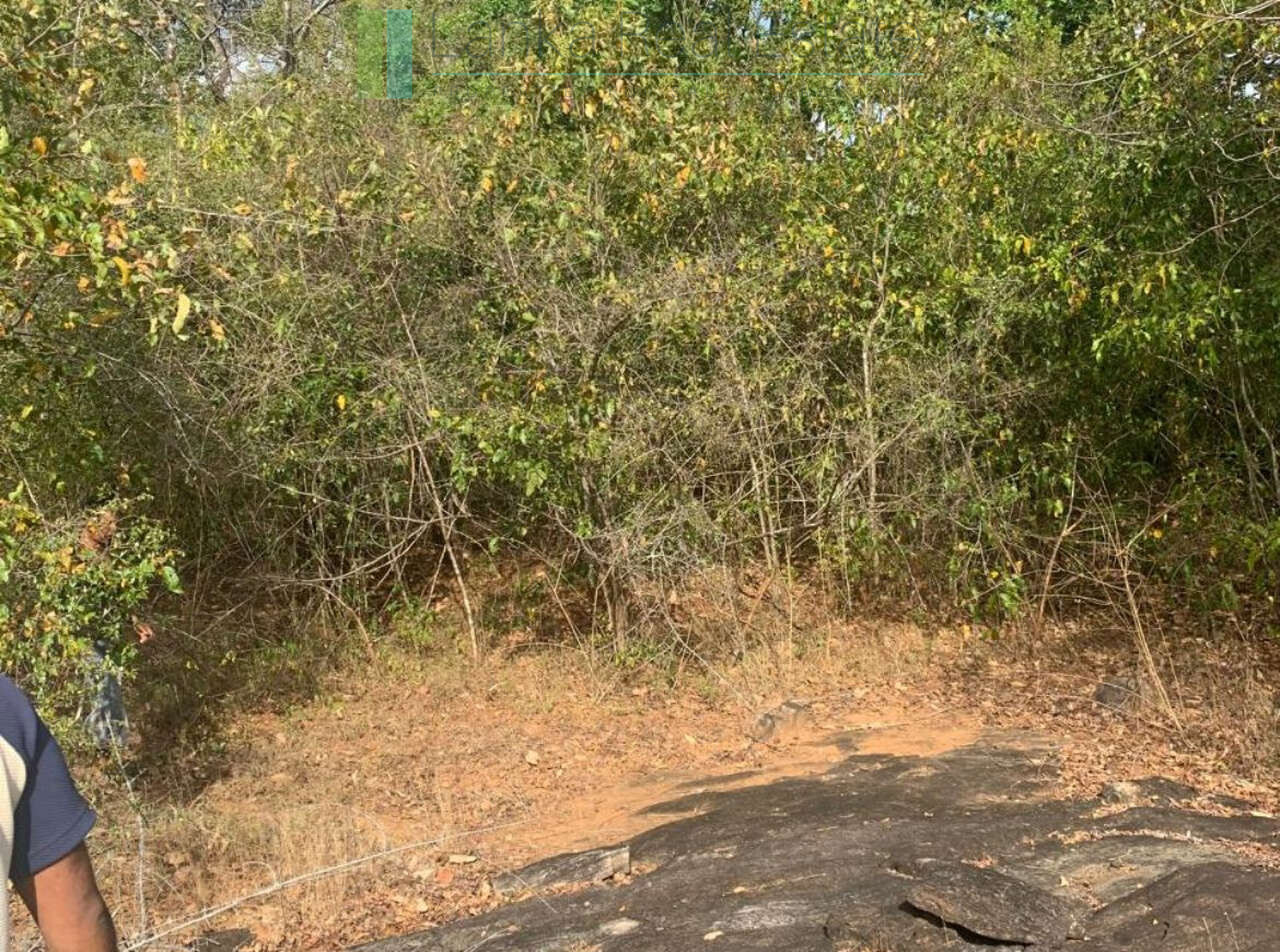Fourteen pristine acres on Loggal Lake
