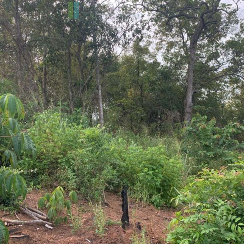 Fourteen pristine acres on Loggal Lake