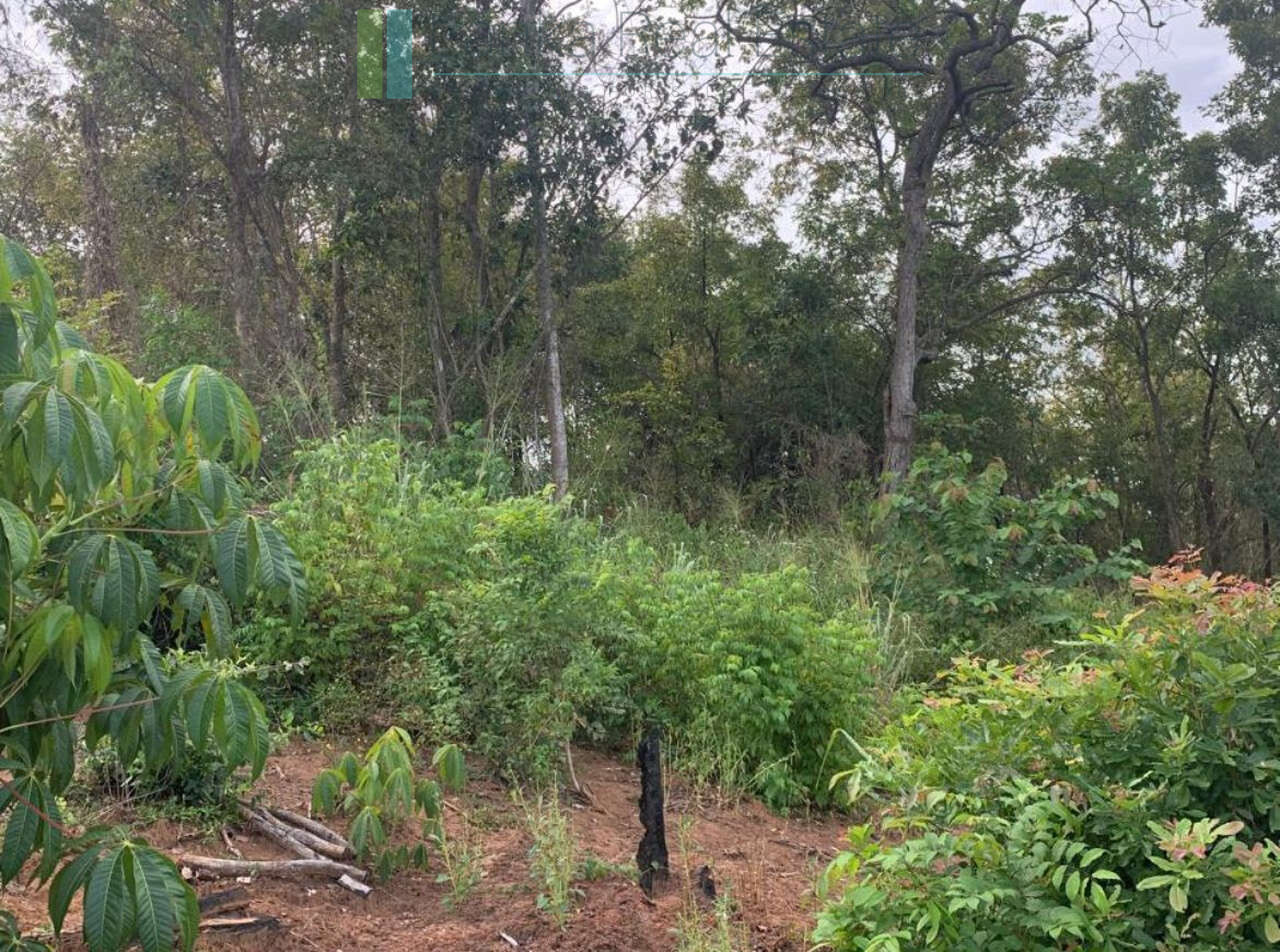 Fourteen pristine acres on Loggal Lake