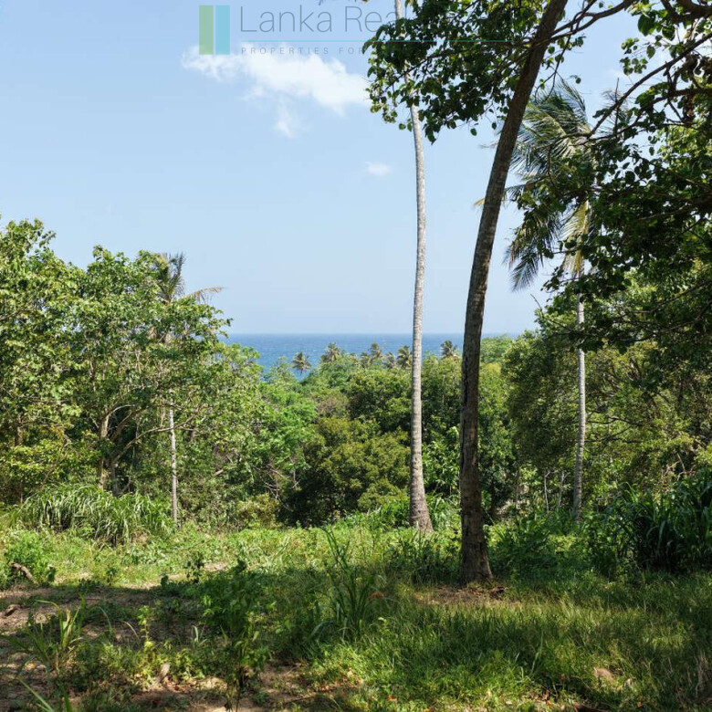 Substantial ocean-view plot in Hiriketiya
