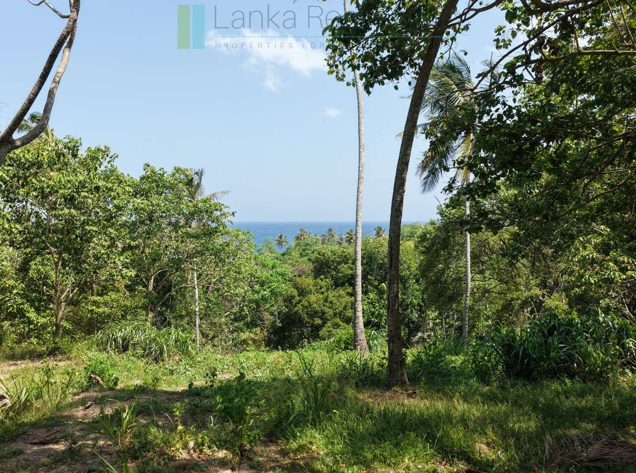 Substantial ocean-view plot in Hiriketiya