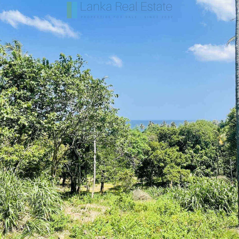 Substantial ocean-view plot in Hiriketiya