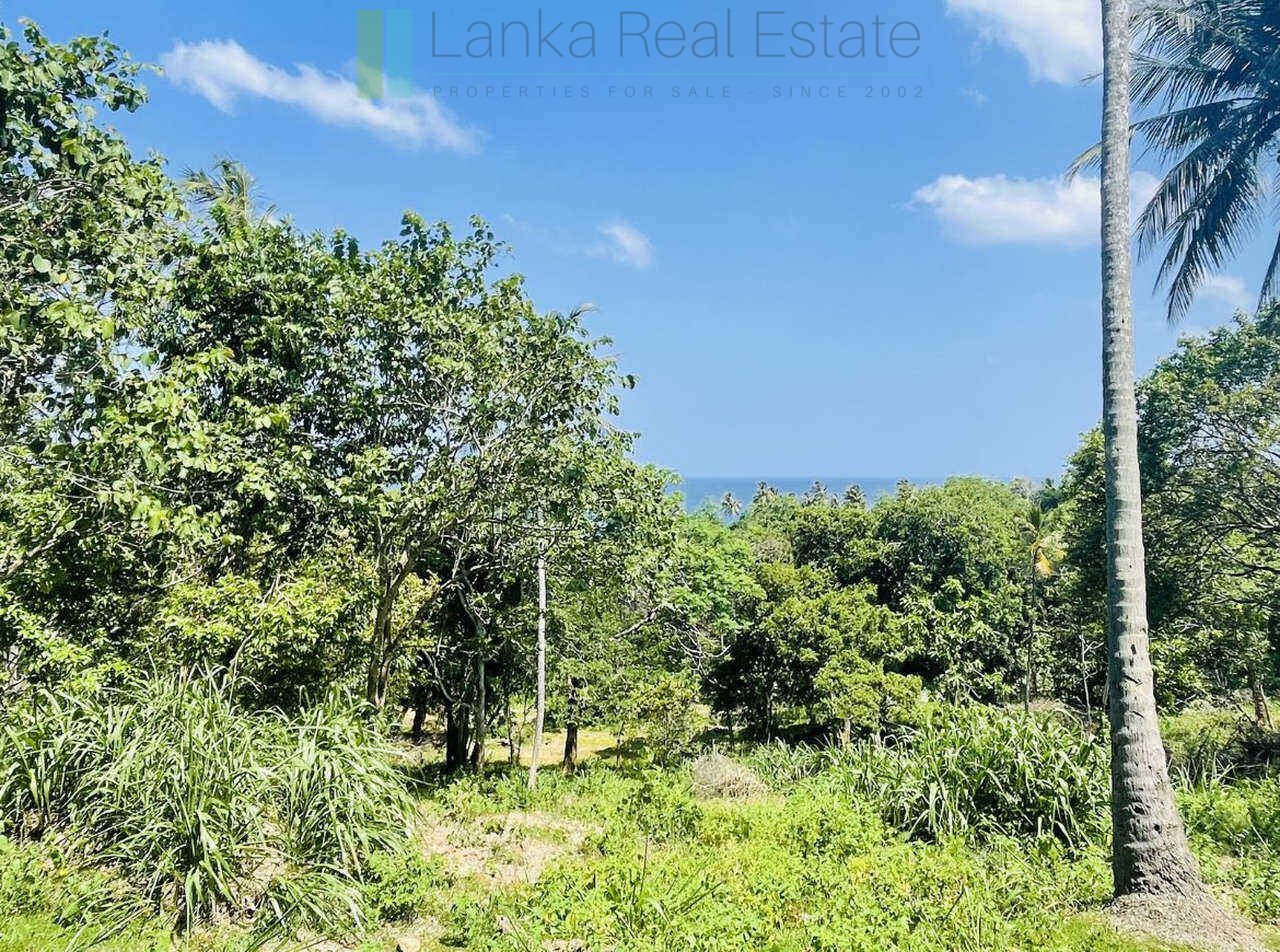 Substantial ocean-view plot in Hiriketiya