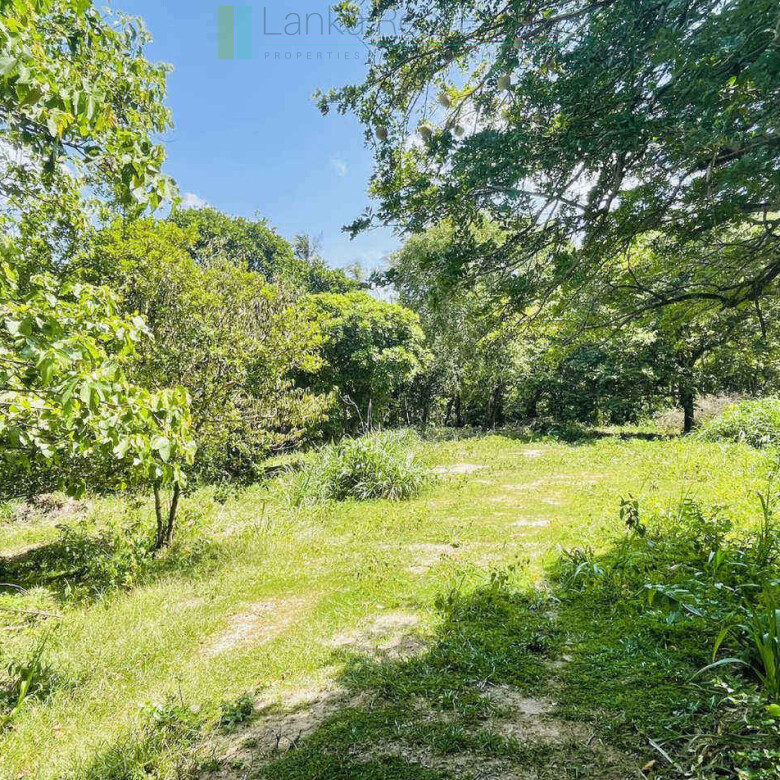Substantial ocean-view plot in Hiriketiya