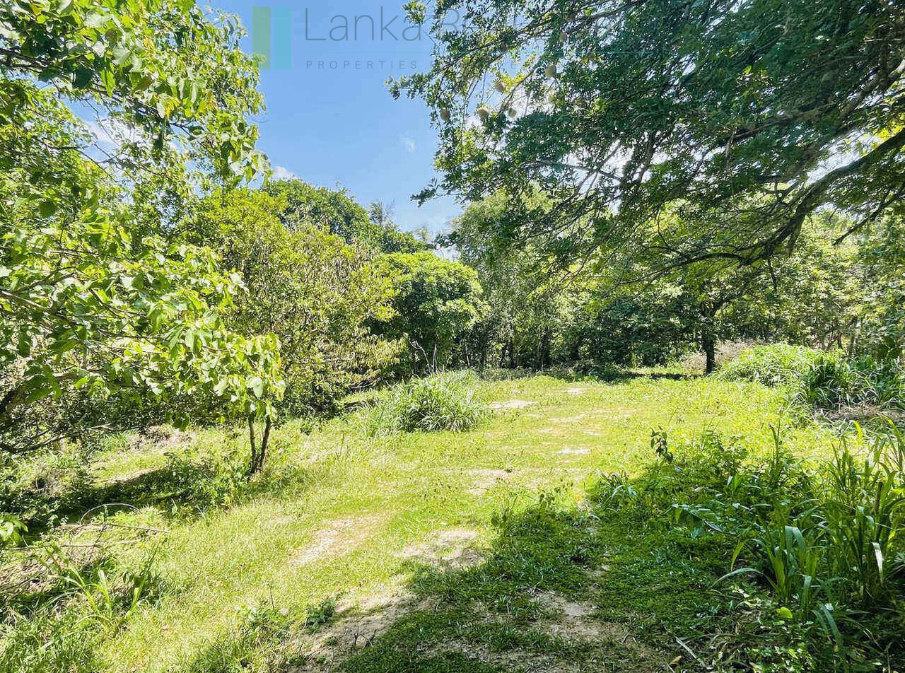 Substantial ocean-view plot in Hiriketiya