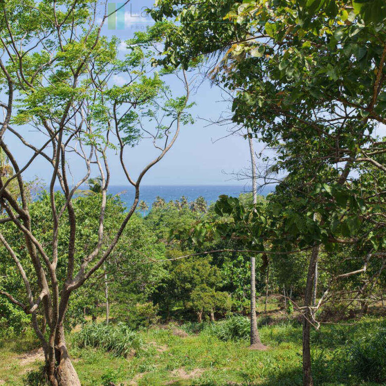 Substantial ocean-view plot in Hiriketiya