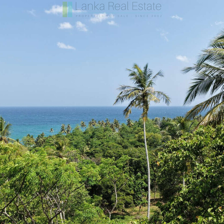 Substantial ocean-view plot in Hiriketiya