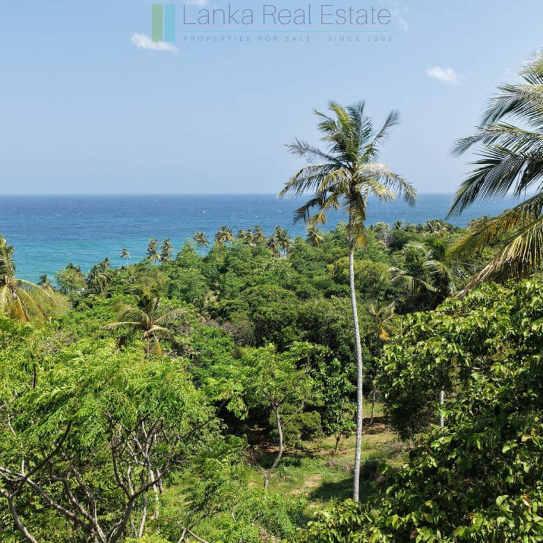 Substantial ocean-view plot in Hiriketiya