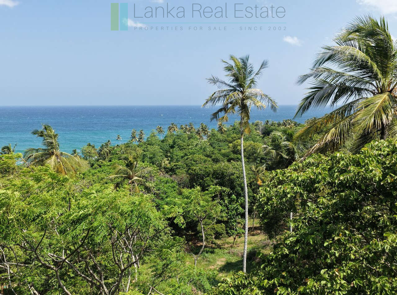 Substantial ocean-view plot in Hiriketiya
