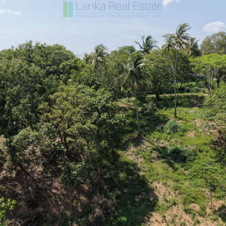 Substantial ocean-view plot in Hiriketiya