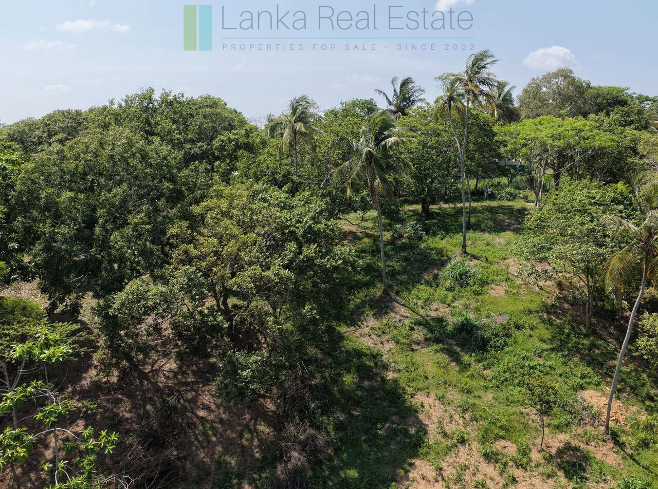 Substantial ocean-view plot in Hiriketiya