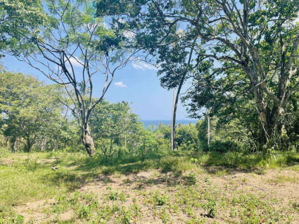 Substantial ocean-view plot in Hiriketiya