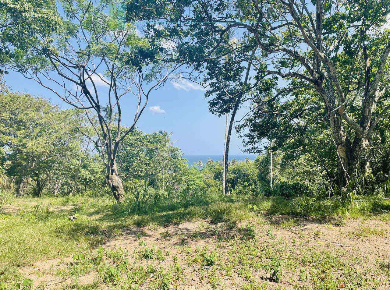 Substantial ocean-view plot in Hiriketiya