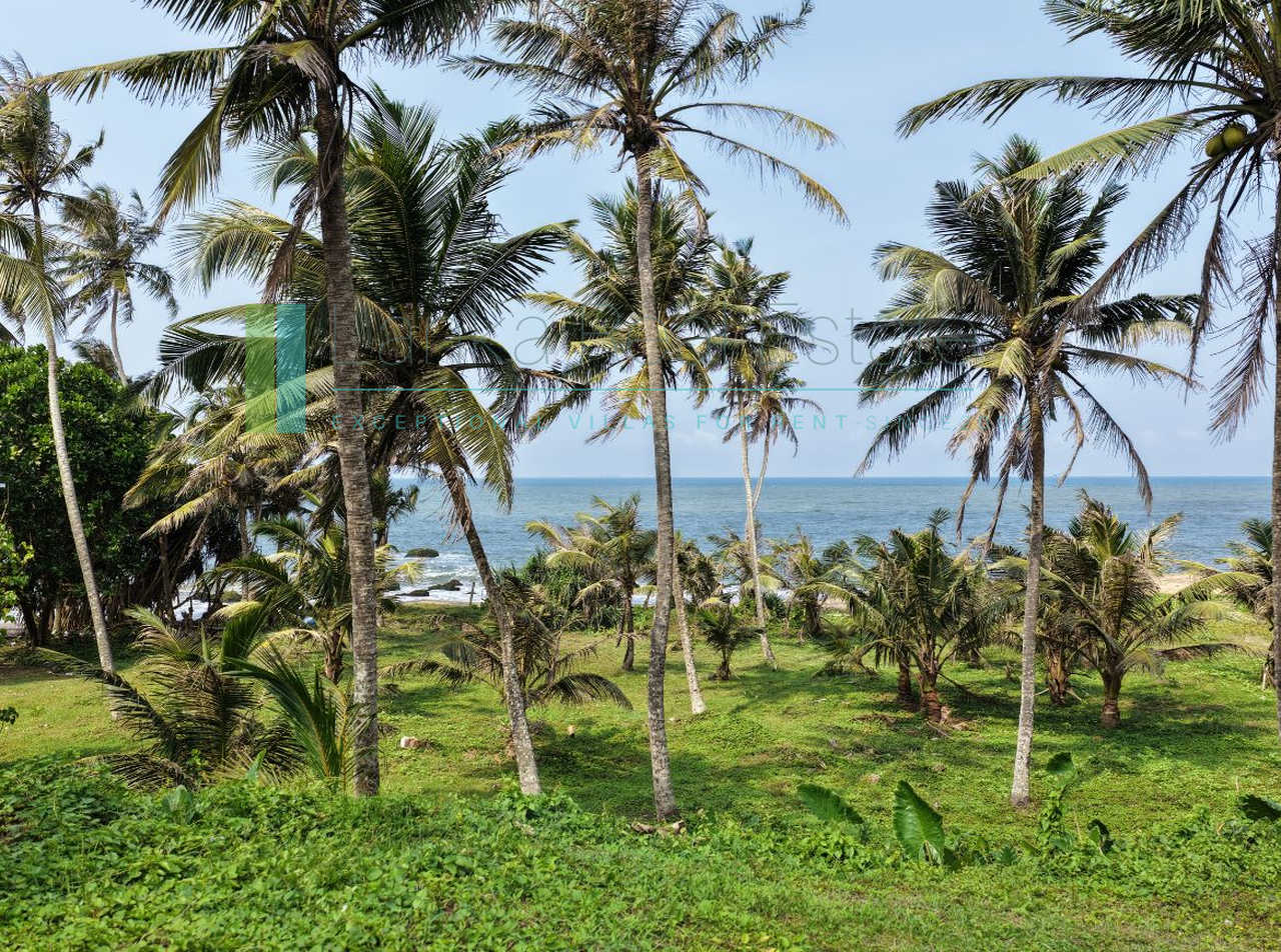 Substantial oceanfront plot in Gintota