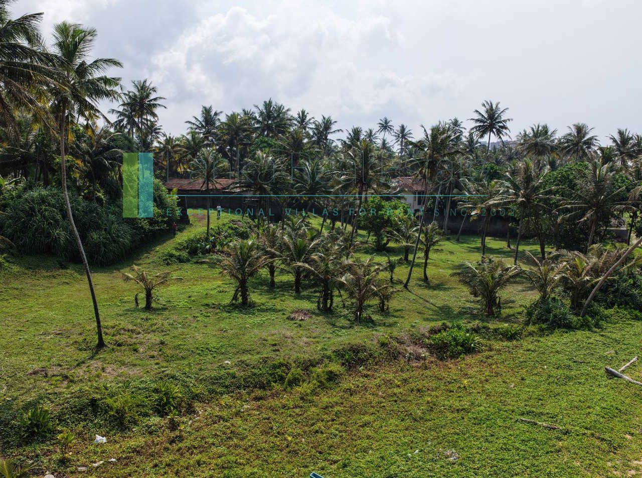 Substantial oceanfront plot in Gintota