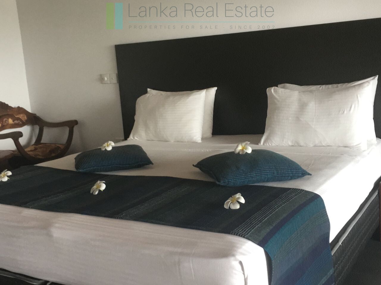 Fifteen bedroom lakeside resort hotel in Hikkaduwa