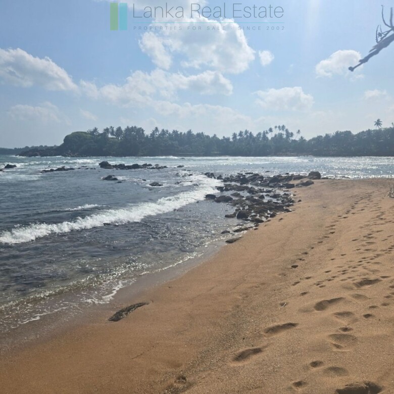 Ocean-facing palm-fringed land in Kottagoda