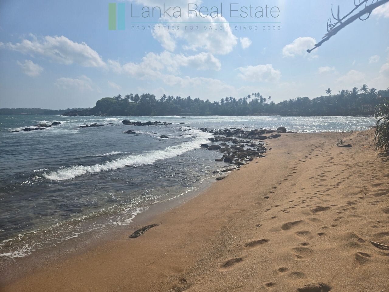 Ocean-facing palm-fringed land in Kottagoda