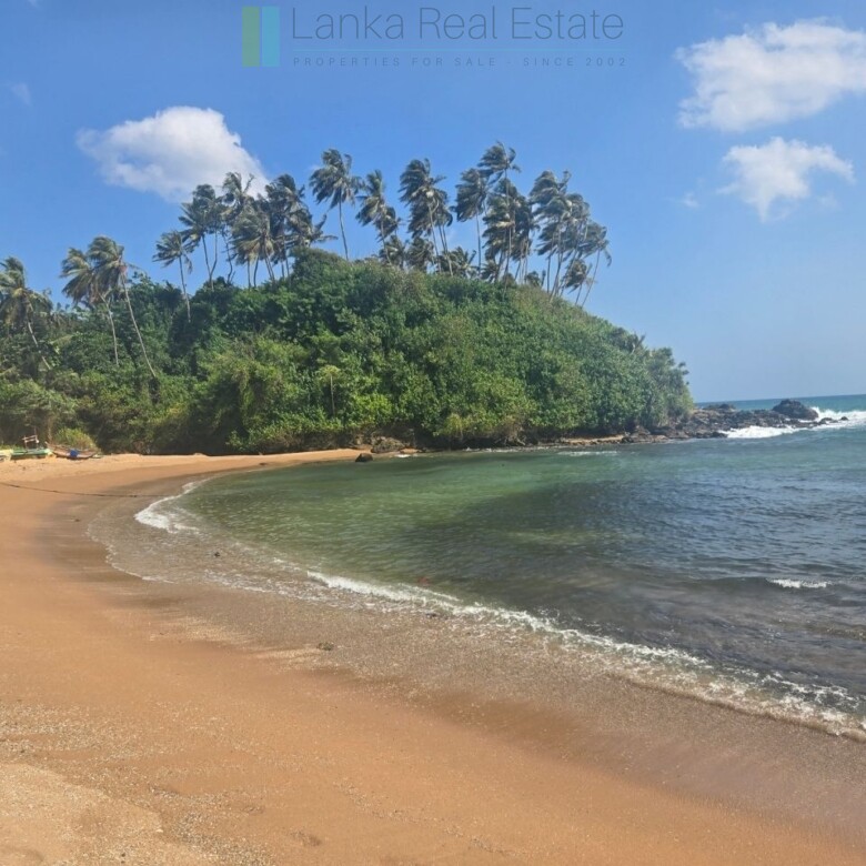 Ocean-facing palm-fringed land in Kottagoda